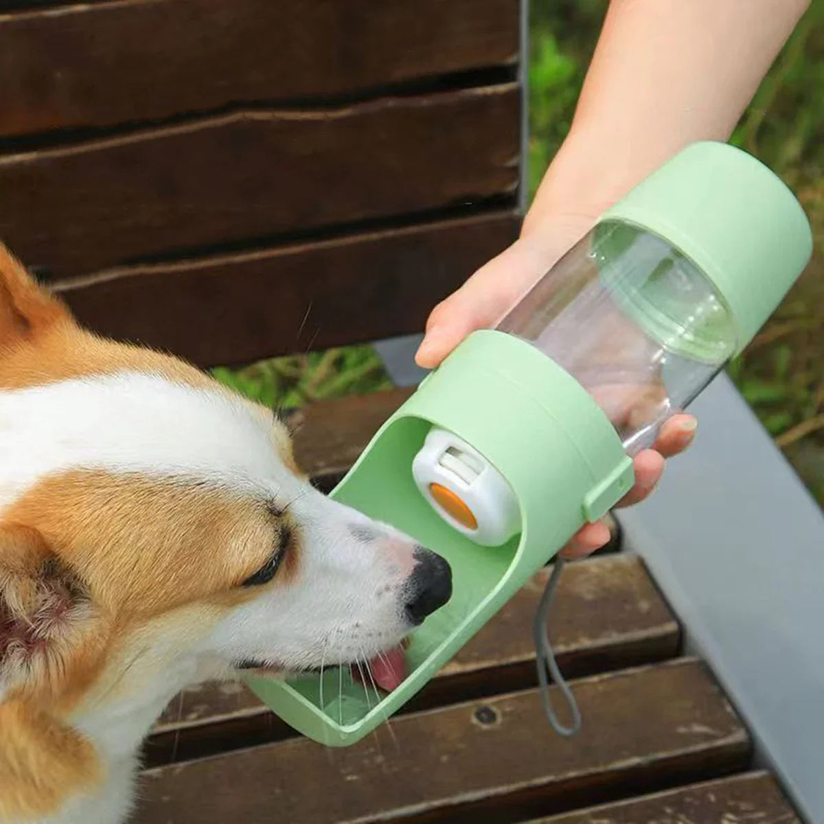 Travel Pet Hydration Station